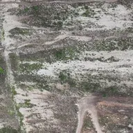 Ground truth preview for Case 12