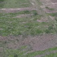 Ground truth preview for Case 11